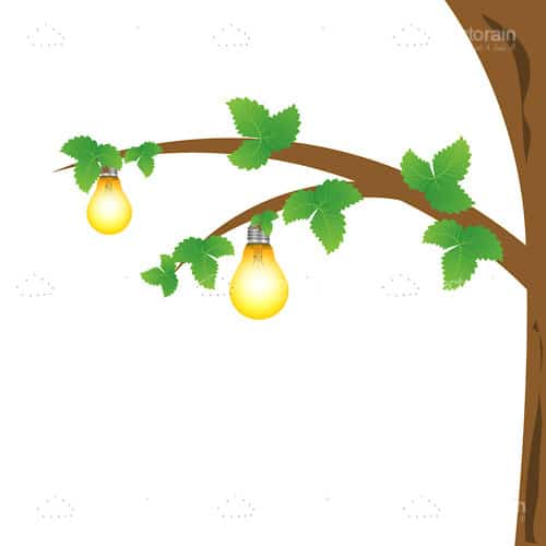 Lightbulbs Hanging on Tree Branch